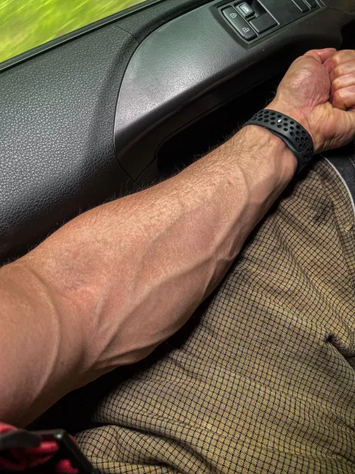 Another day, another cat in a tree saved 👨‍🚒🚒