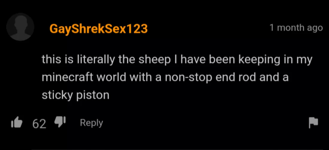 Bro spent to much time on Minecraft...