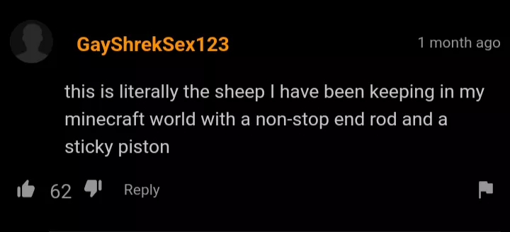 Bro spent to much time on Minecraft...