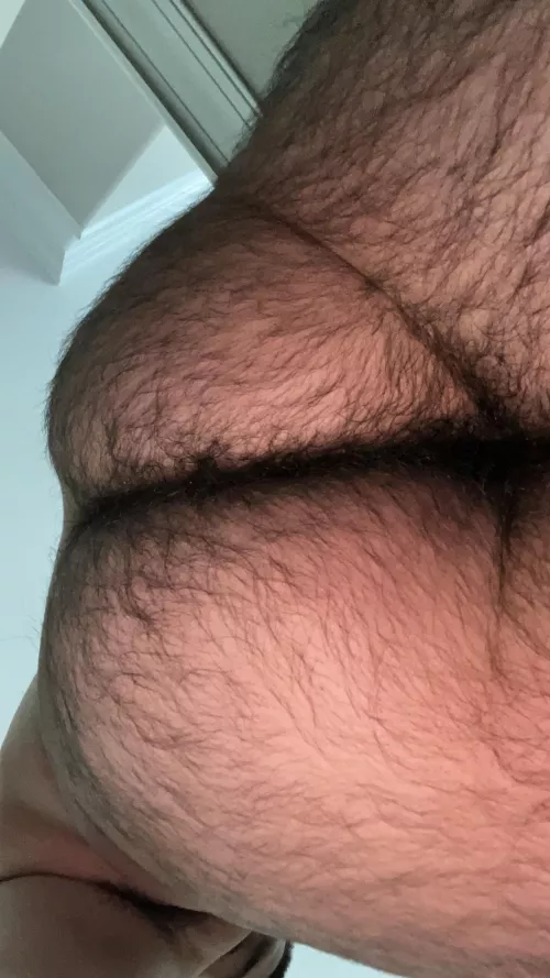 Eat my hairy Latino ass 