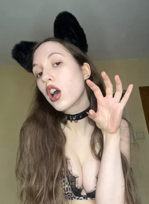 Kittie wants breeding
