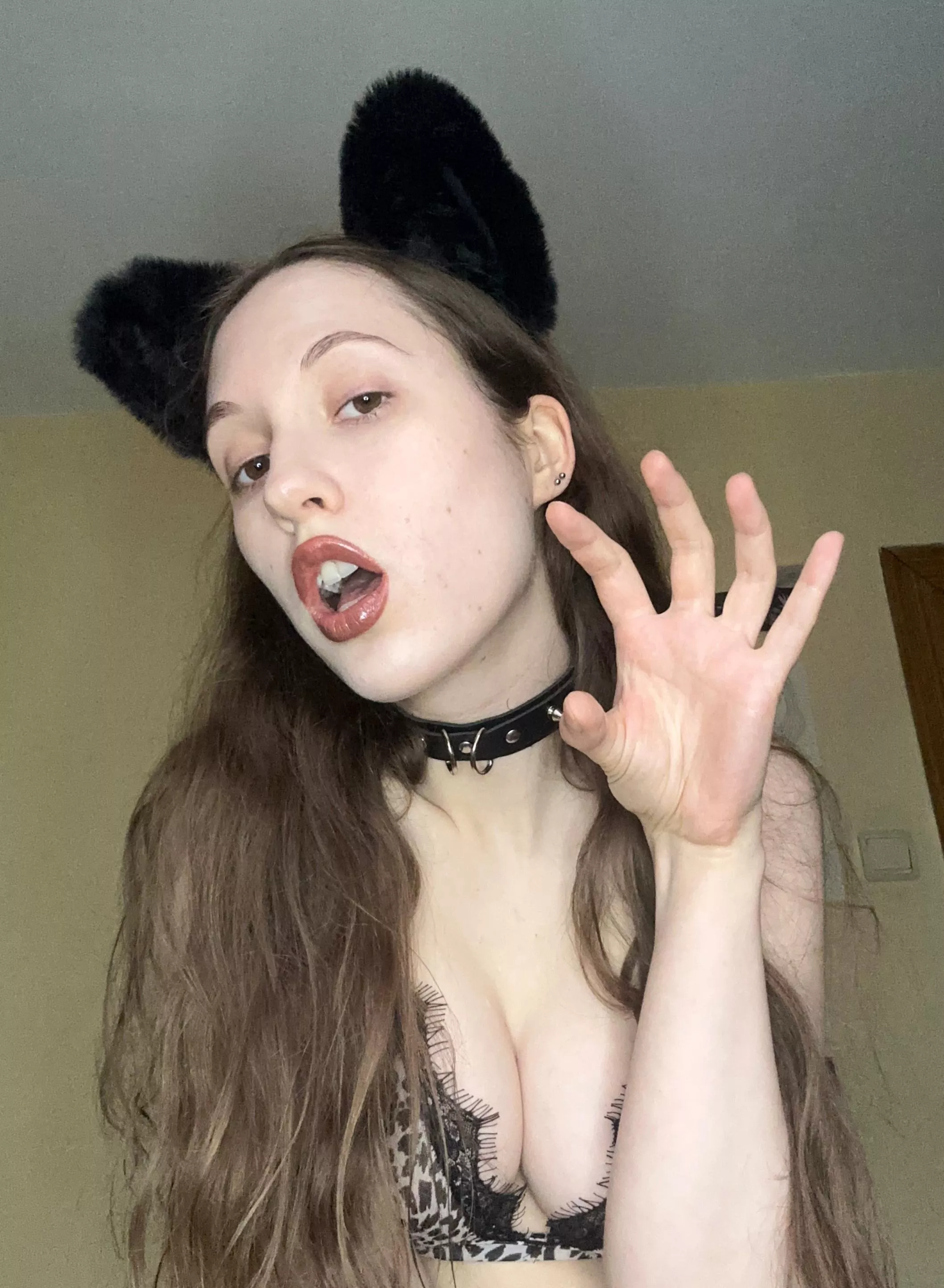 Kittie wants breeding
