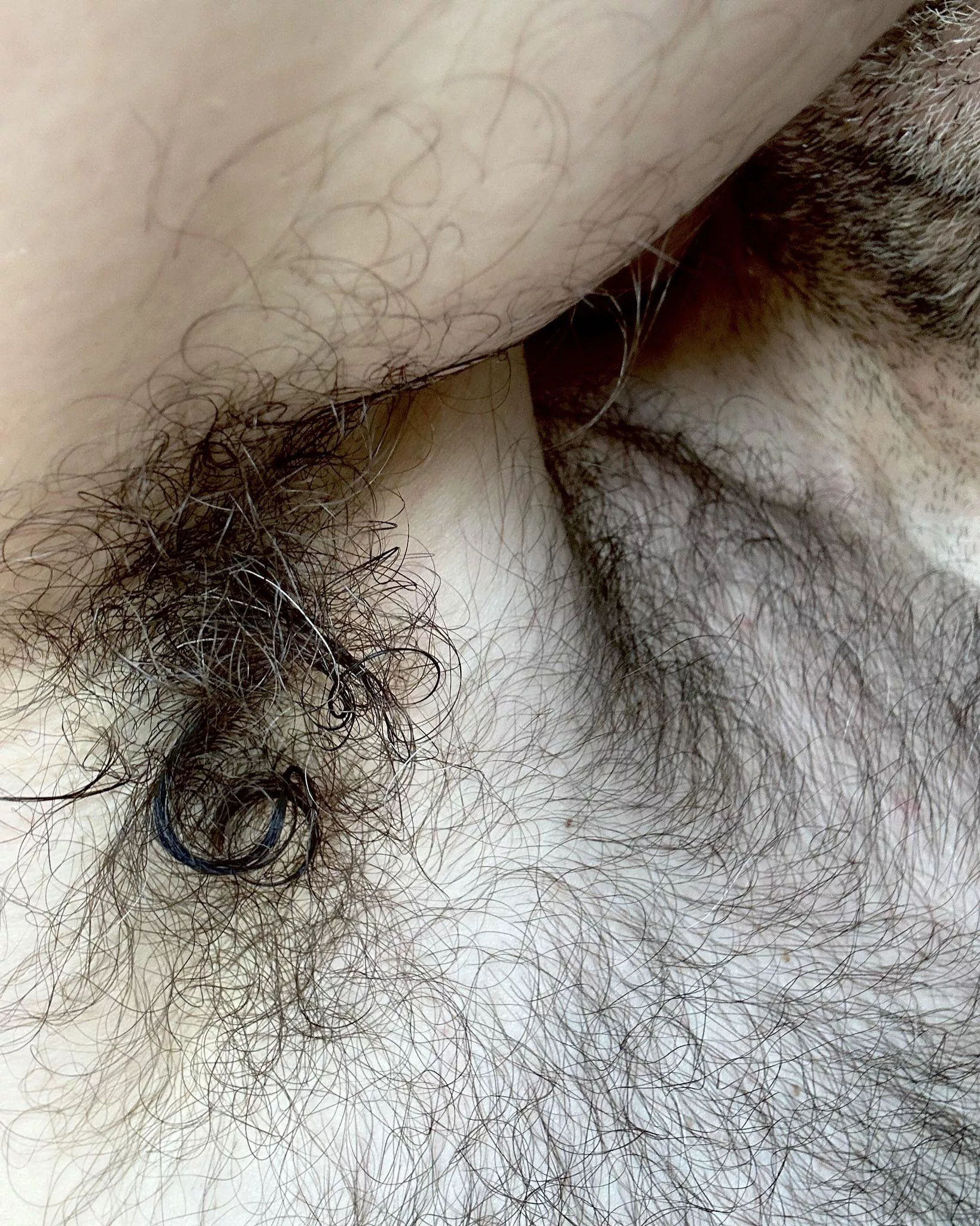 My post-run wet and curly salt and pepper pits...