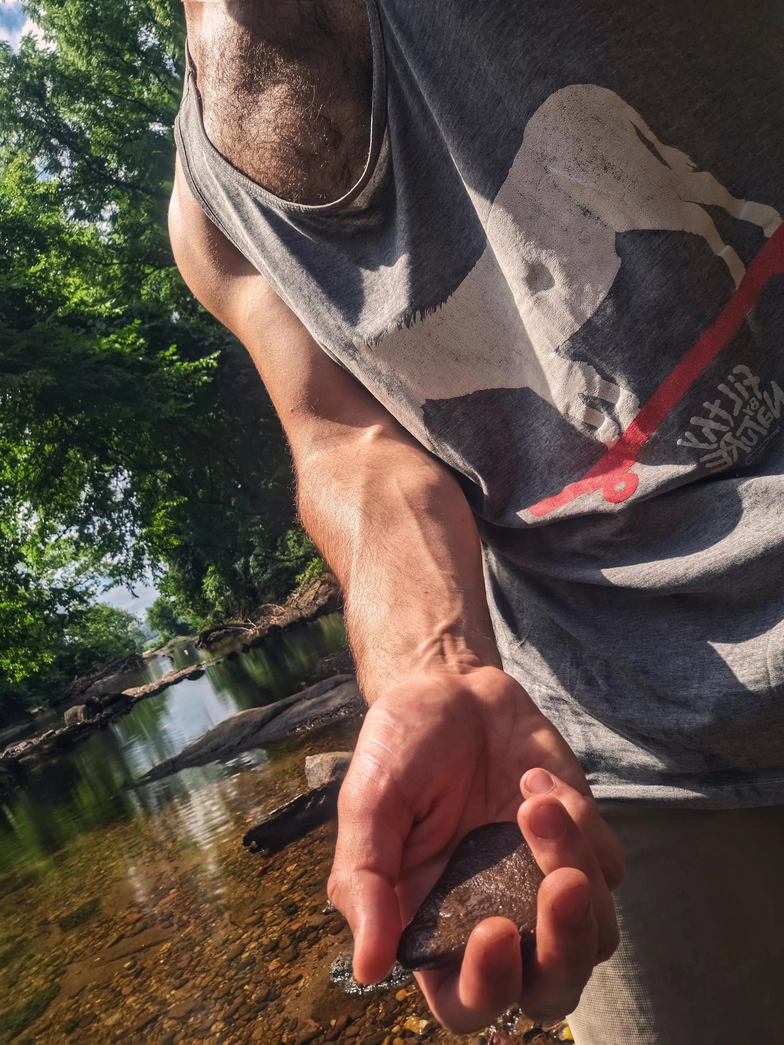 the secret to skipping stones, is selection 