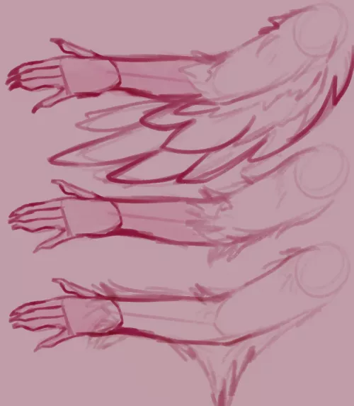 Which anthro arm for a bird would you prefer?