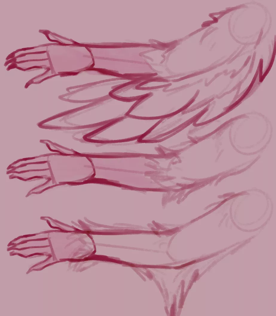 Which anthro arm for a bird would you prefer?