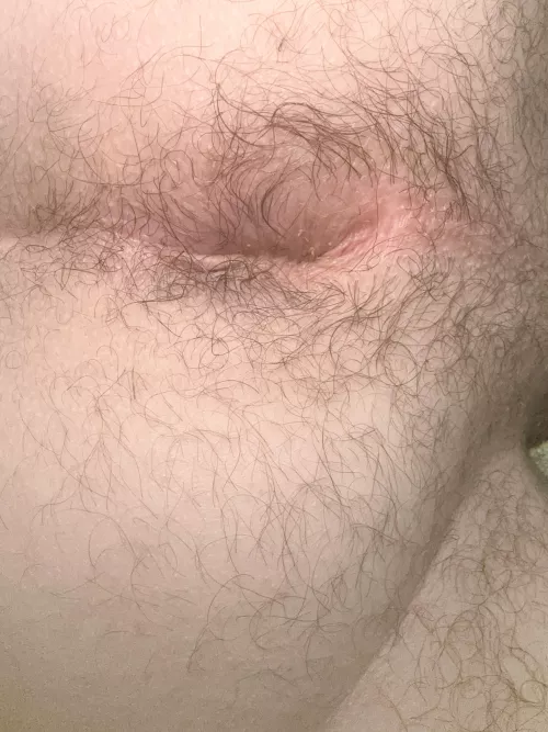 Would you take up the offer?