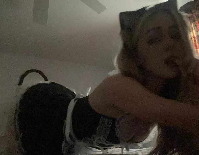 Your kitty is waiting for you 