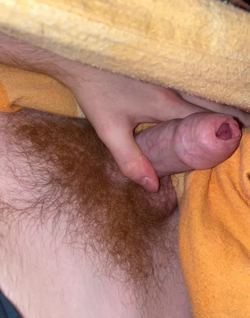 (22) Anyone like my hairy ginger cock? 