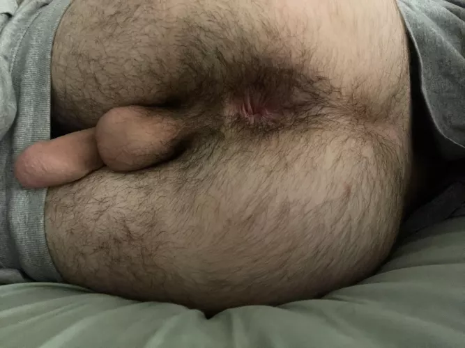 Do you like my hairy ass?