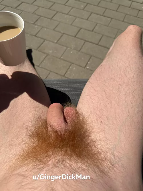 Good morning from me and my fire bush 