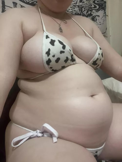 Might be a little stuffed