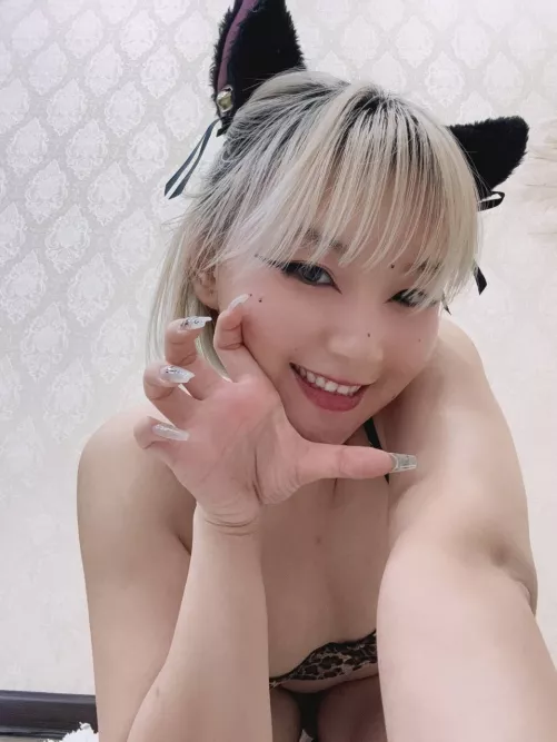 Would you let a cat girl lick you clean?
