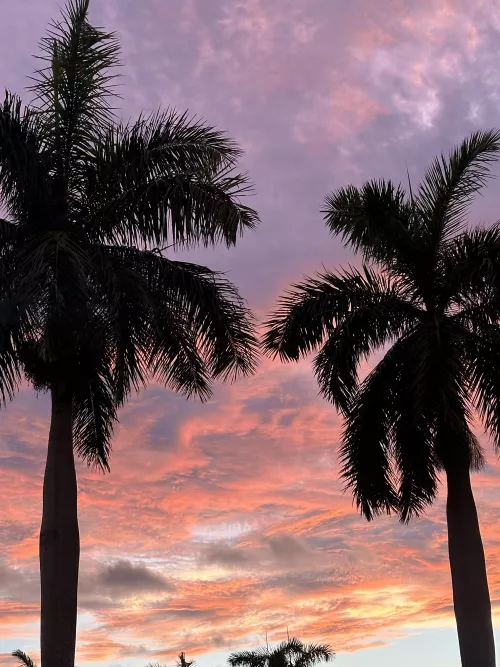 Beautiful Naples sunset 