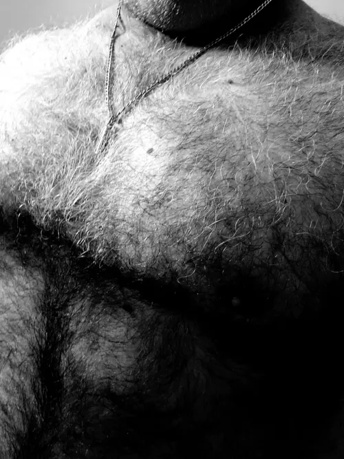 Daddy Dom Bear looking for fur aficionados 