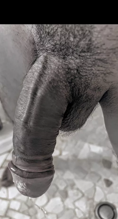 How does the piss dripping out of my cock look?