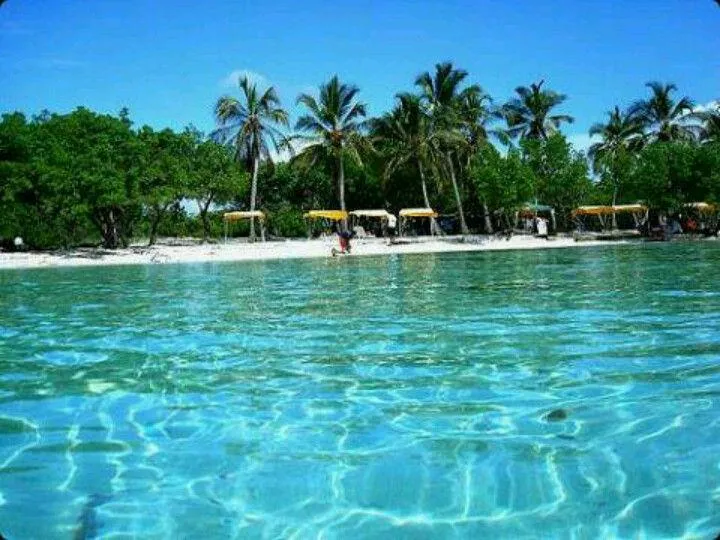 Located in Venezuela Edo Falcon. 😍❤️