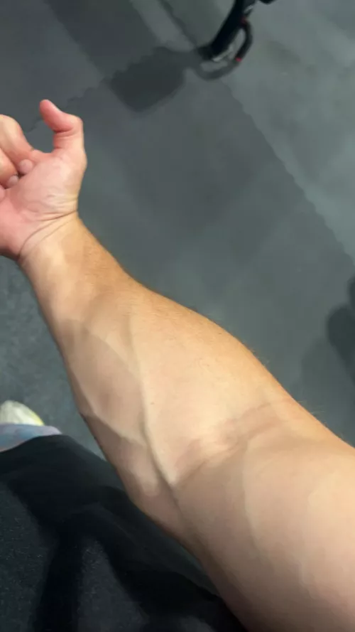 my veins are looking big 