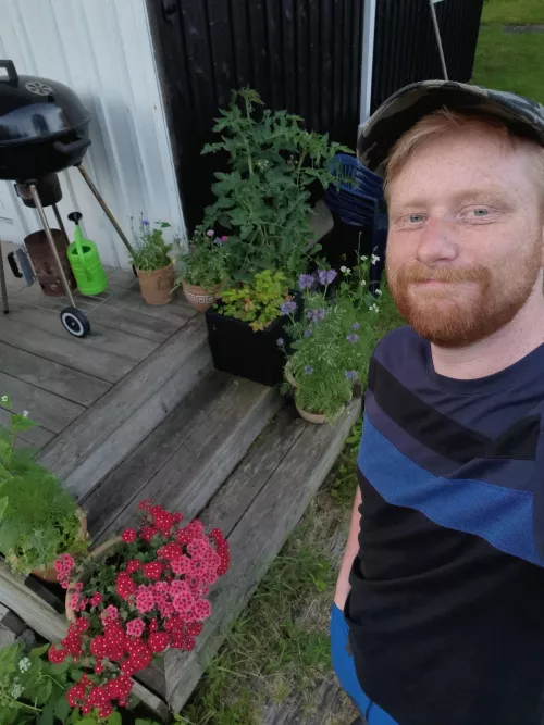 The plants are planting