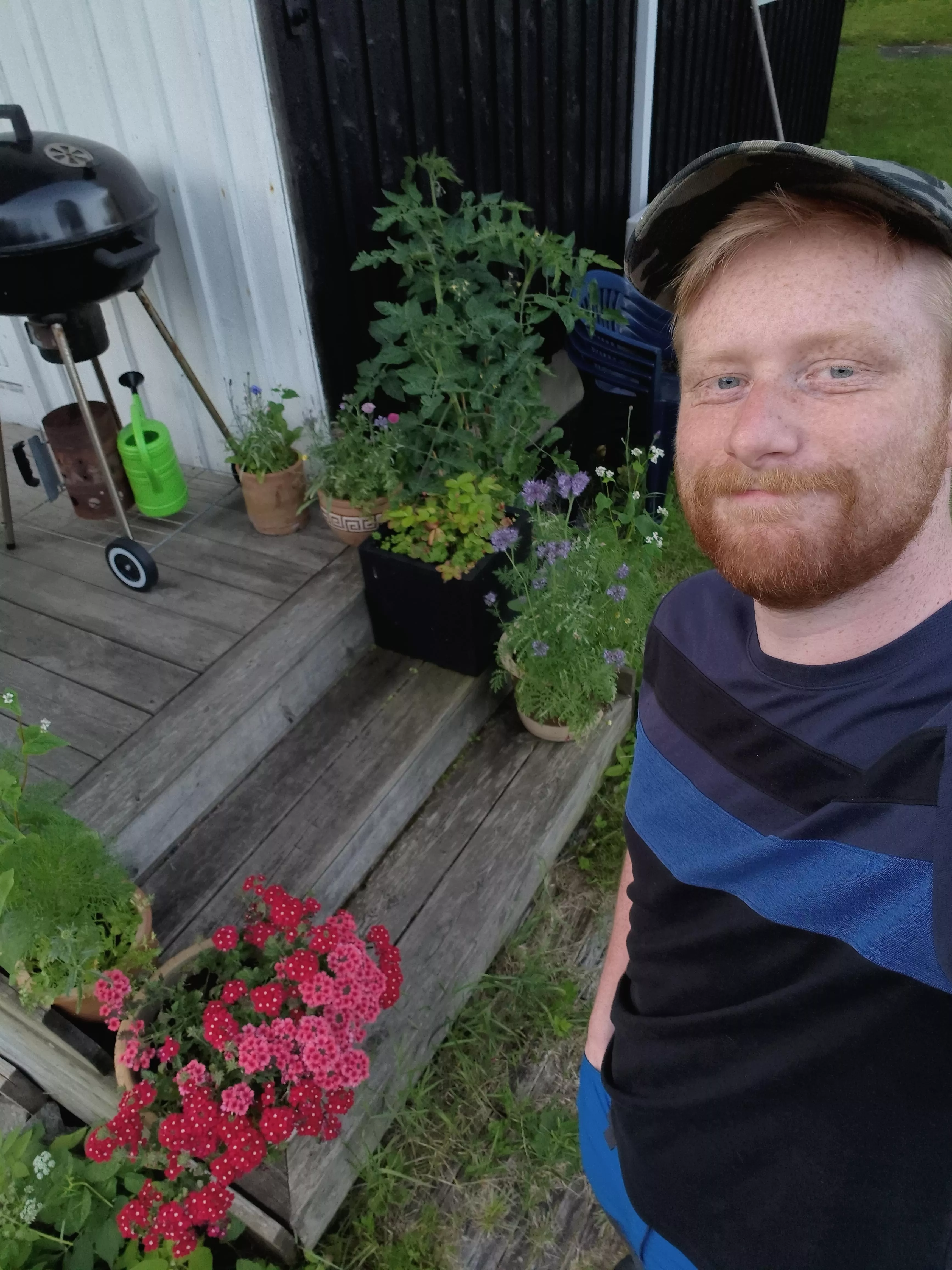 The plants are planting