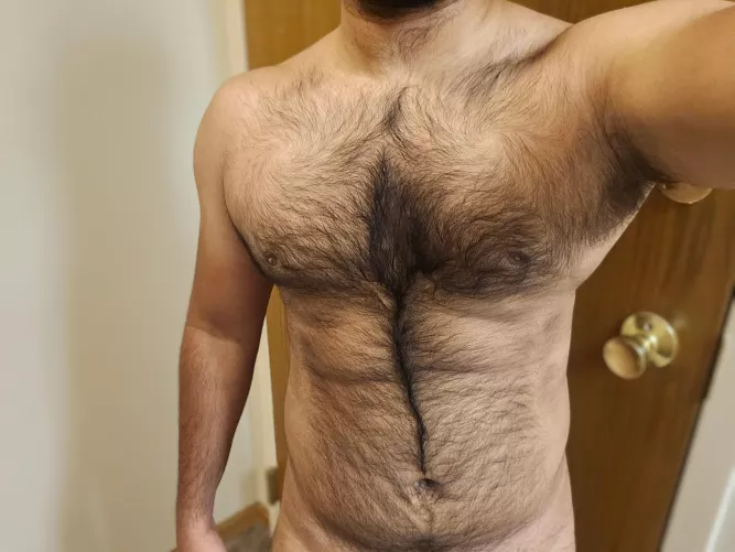 Wanna get on the trail of the treasure? 