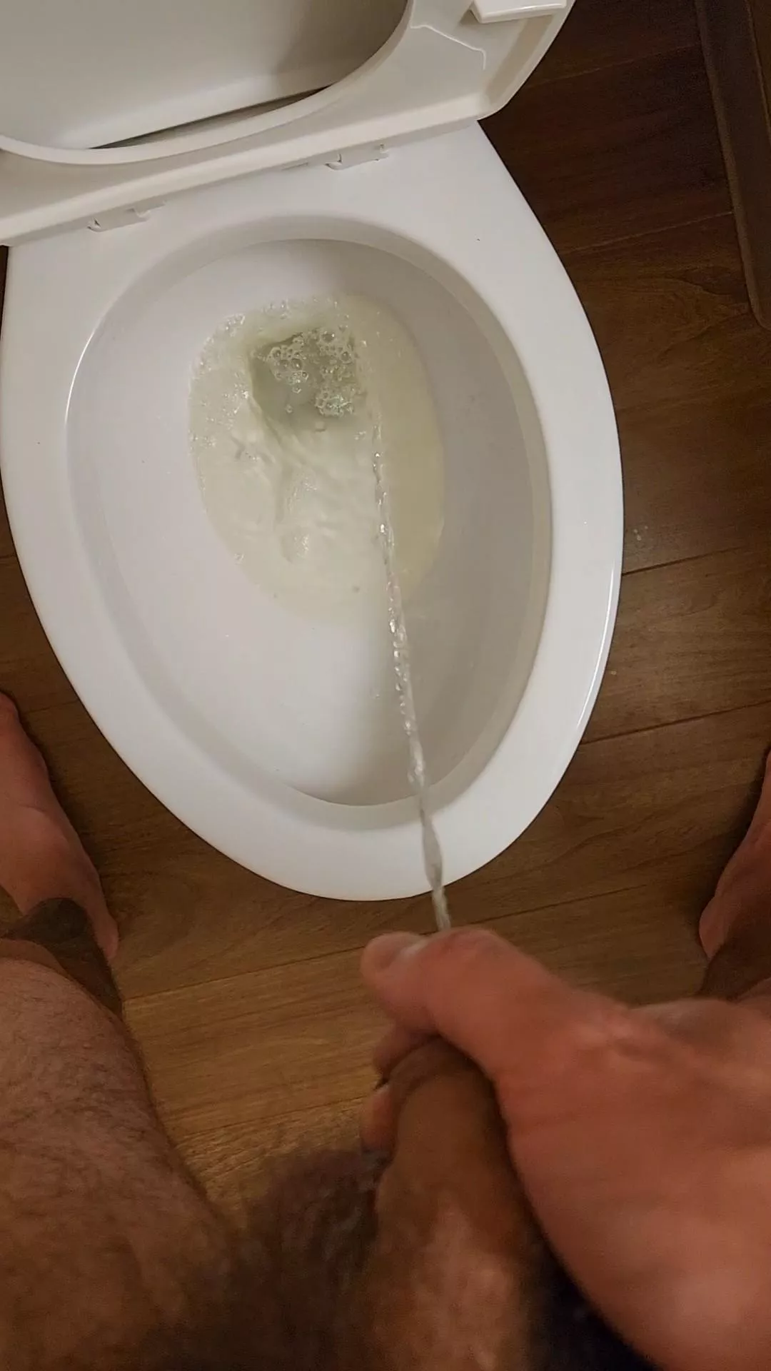 Breaking in the hotel toilet