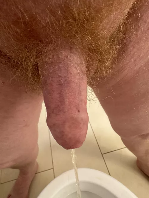 Morning piss semi
