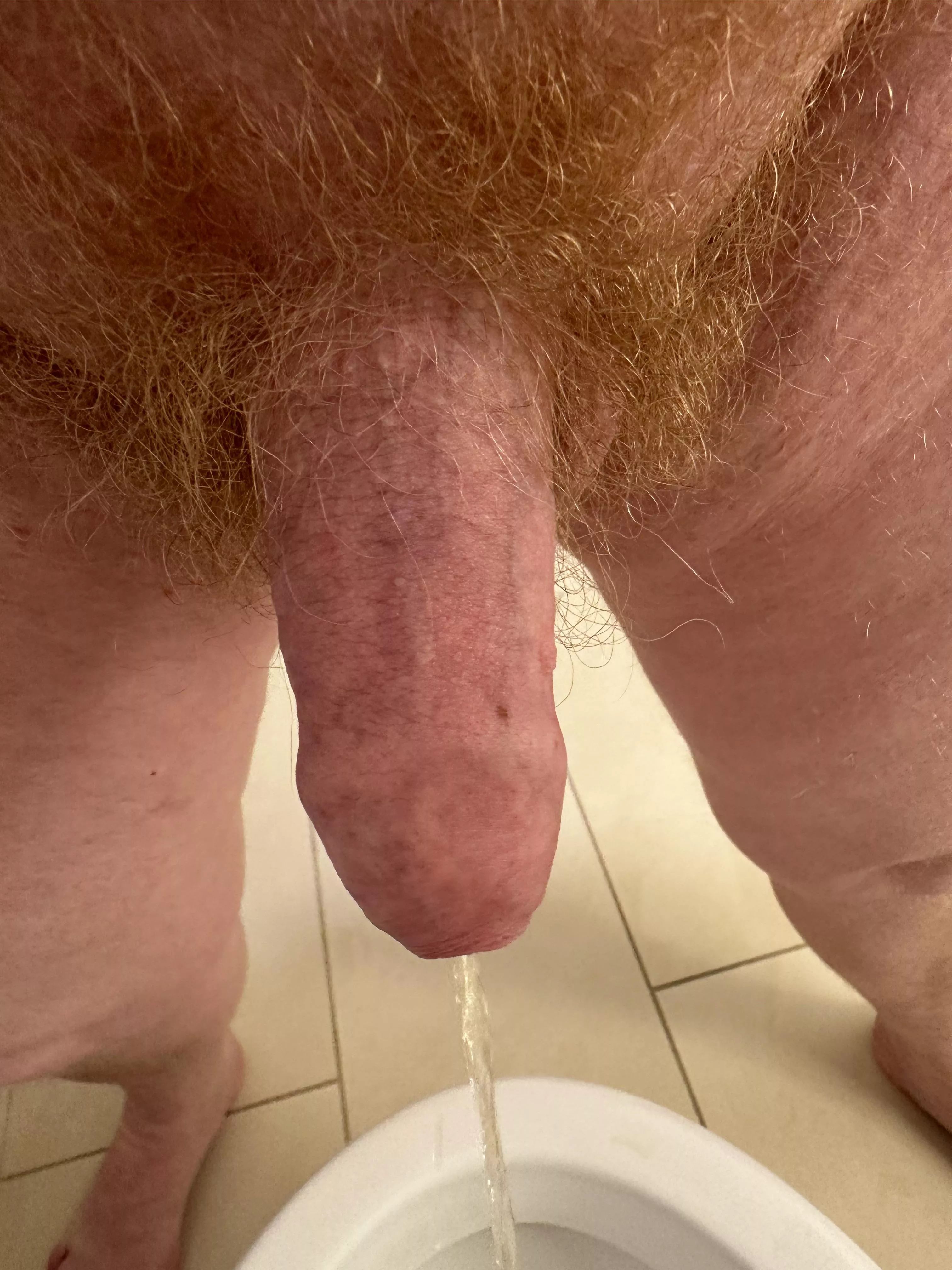 Morning piss semi