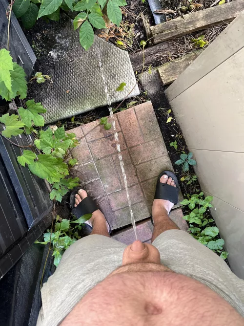 Unloading some gardening beers