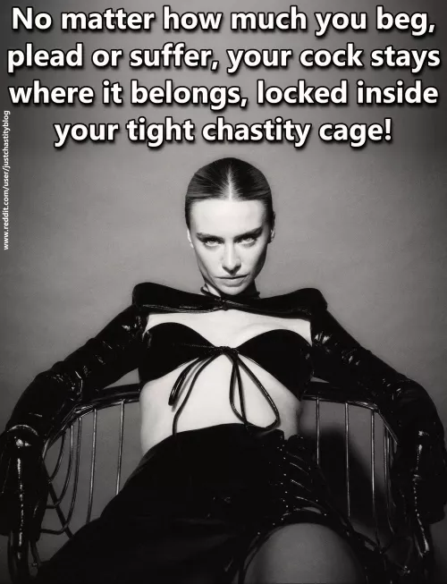 Your begging and pleading has been heard!