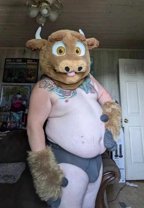 Bull in the morning sun 