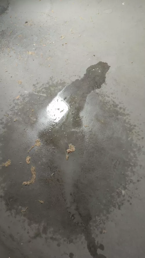 Did a mess on the attic💦