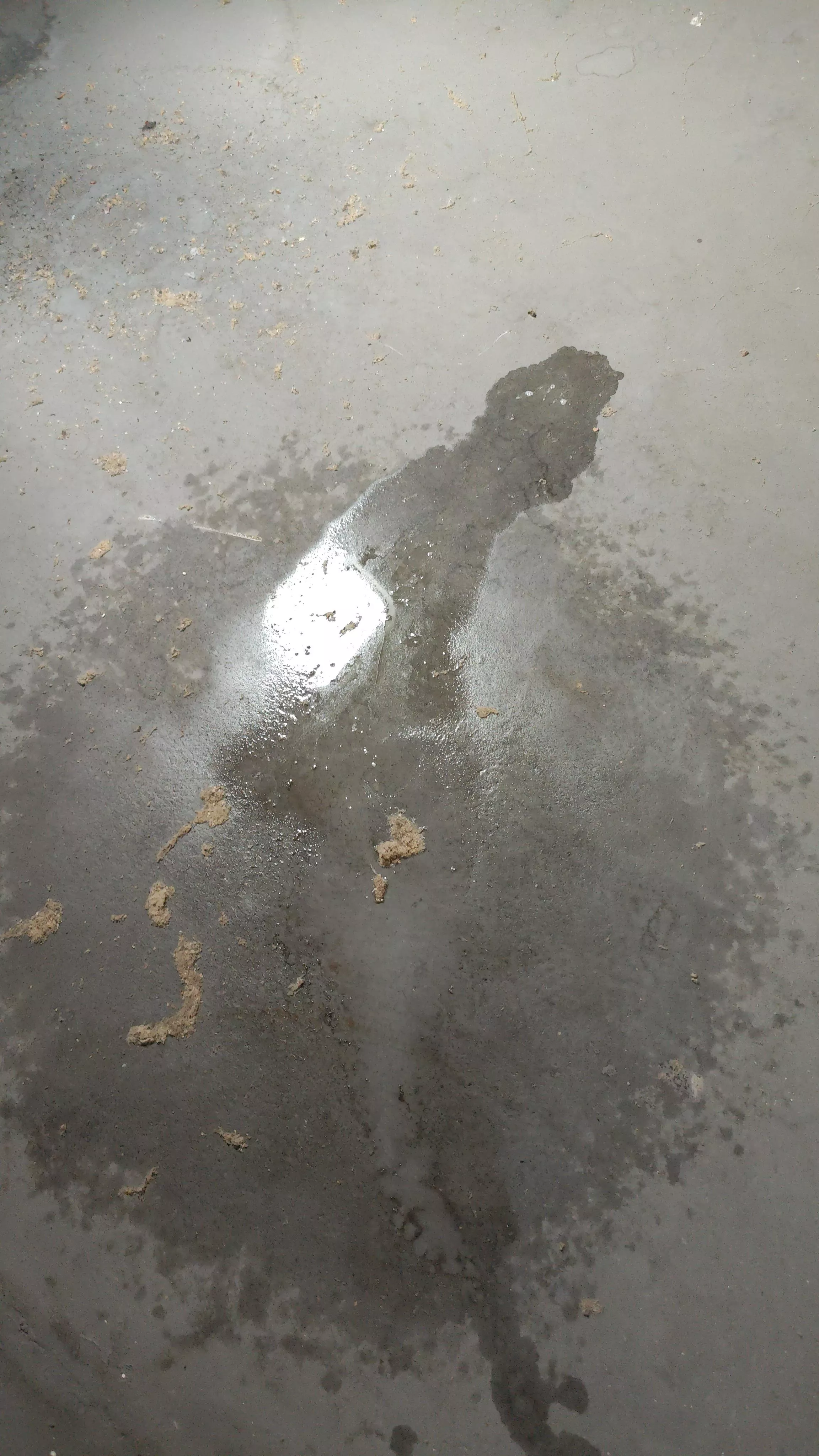 Did a mess on the attic💦