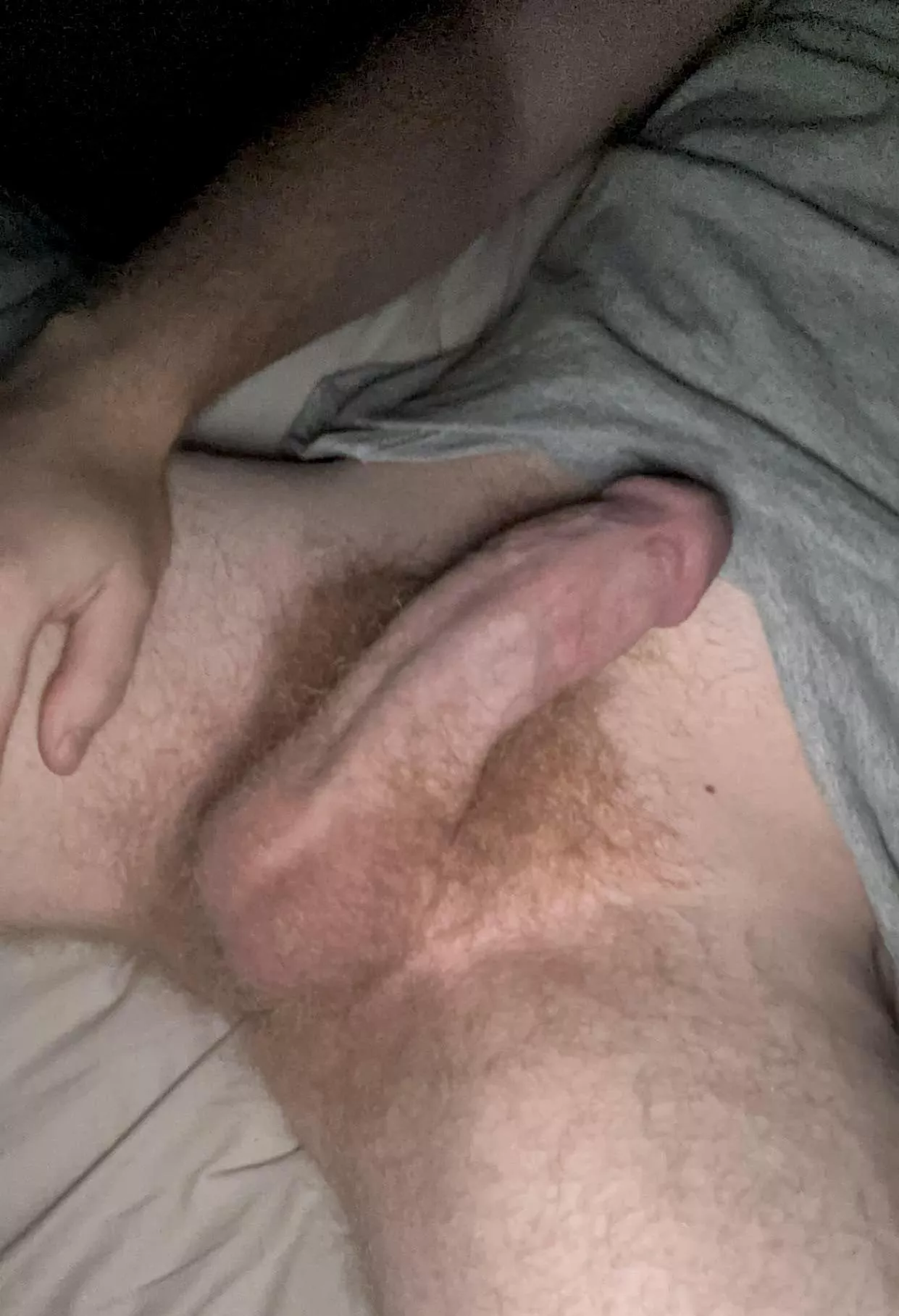 hairy cock before i trim, hmu bros (22)