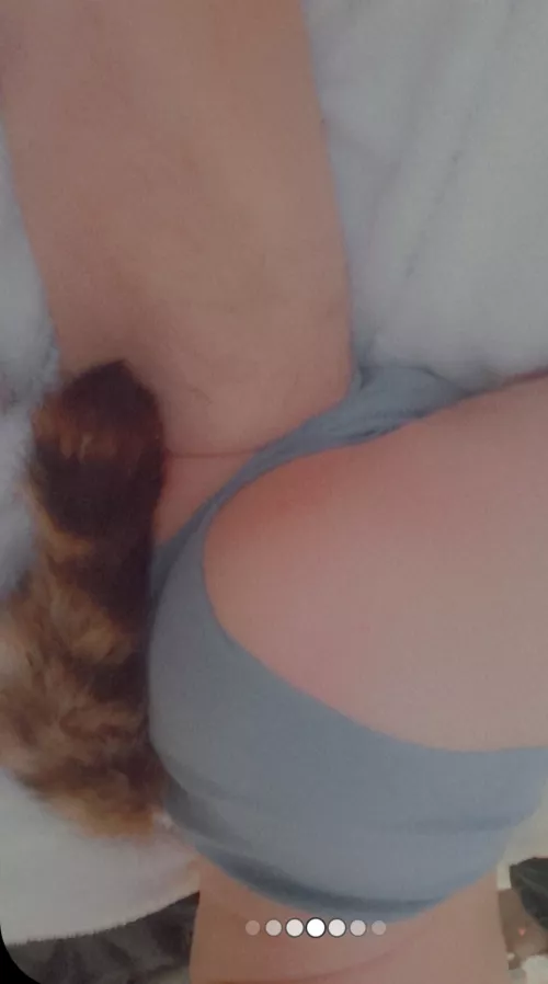 Hii I'm new here, who wants this lil racoon butt>///<