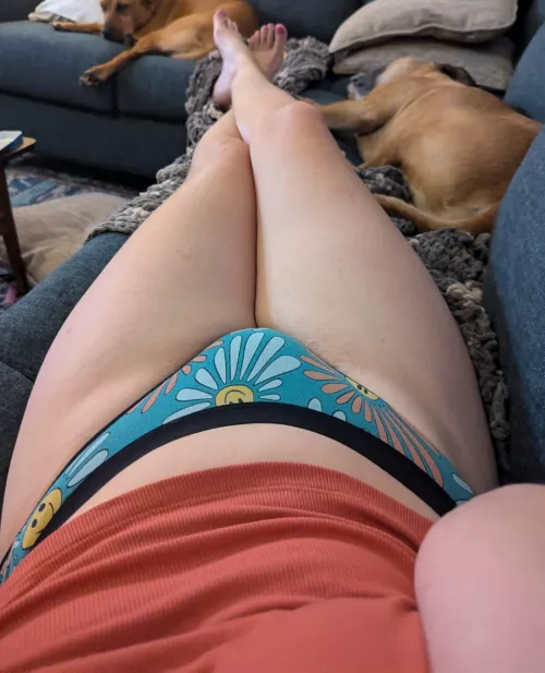 Just hanging out with my dawgs