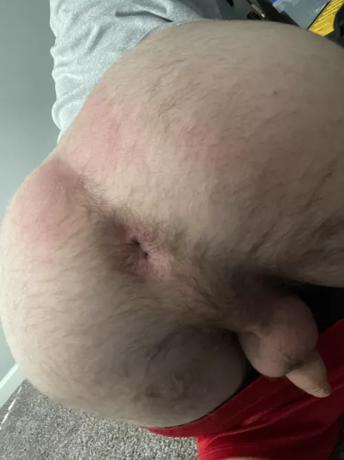 Like bicurious holes? 