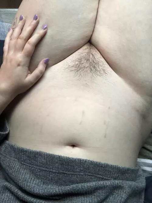 my cute lil bush is growing 