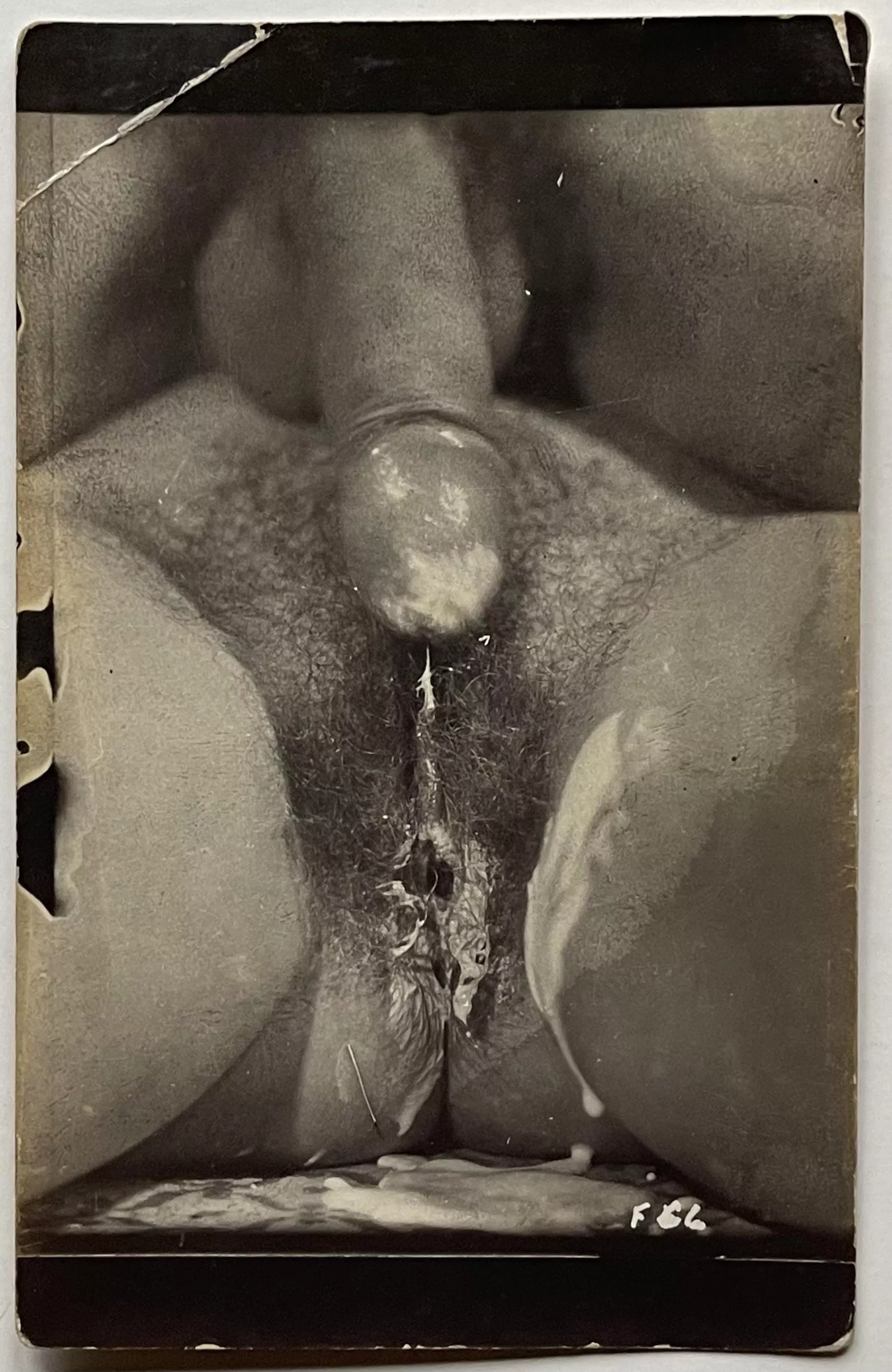 Vintage Creampie