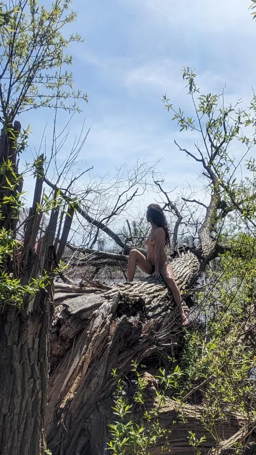 Always looking for the good sunbathing spots