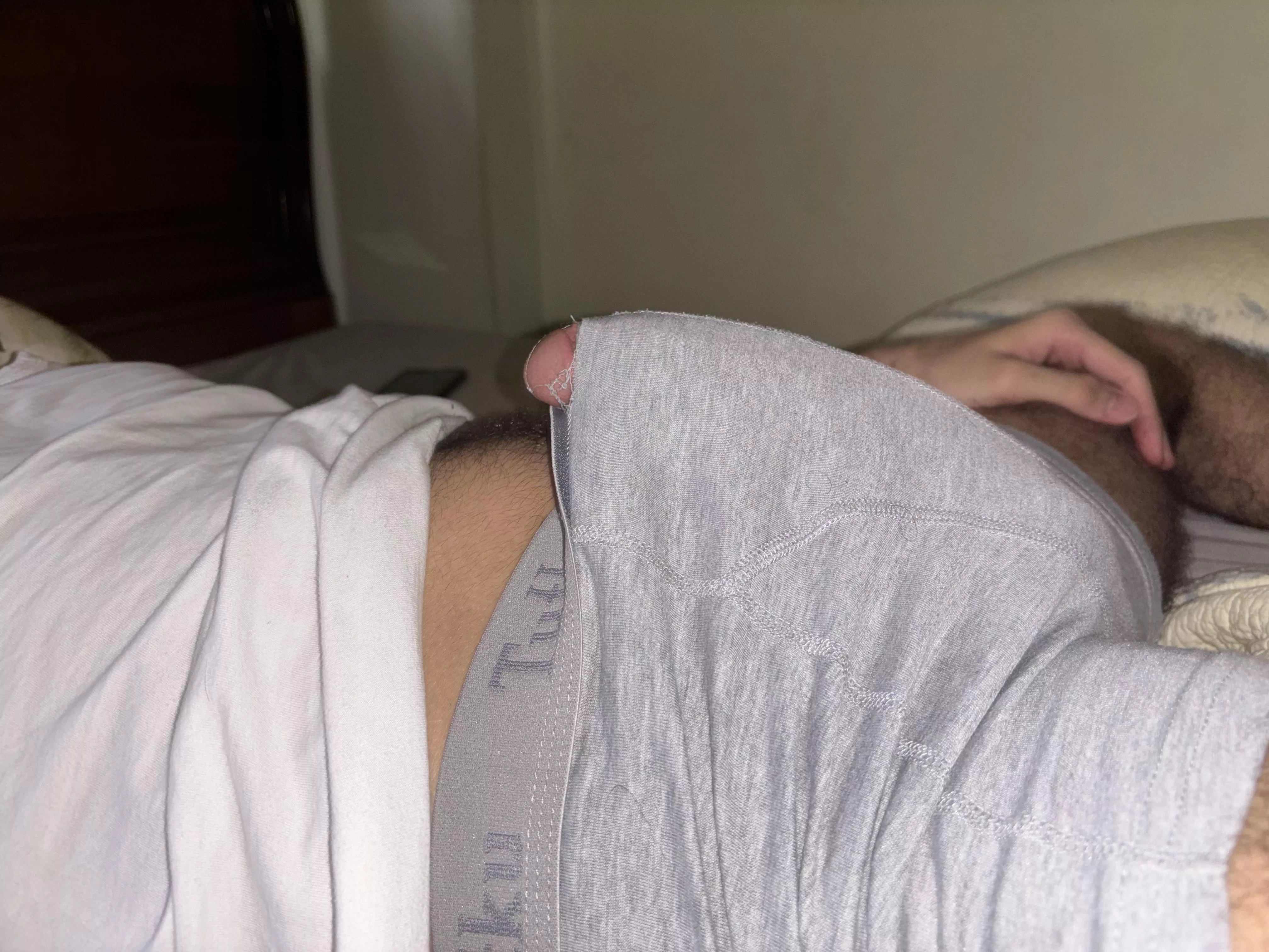 Even my boxer said enough 🙄 (22)