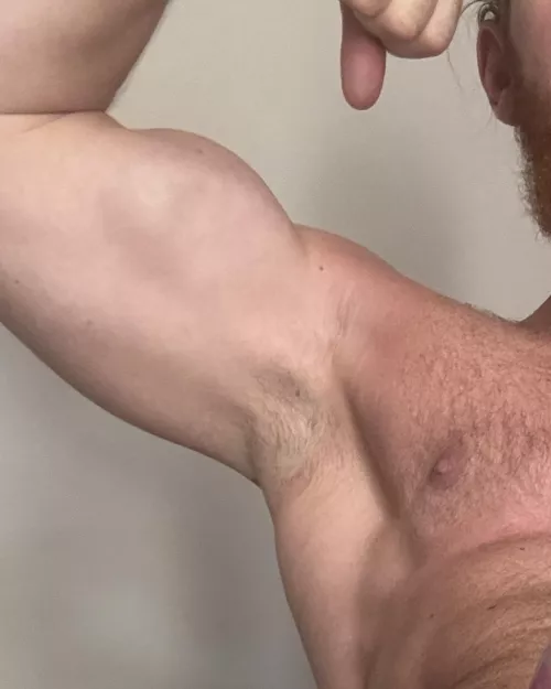 Sniff the best scent 