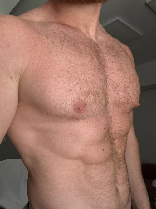 Trimmed hairy will turn hairy in another month from now. 