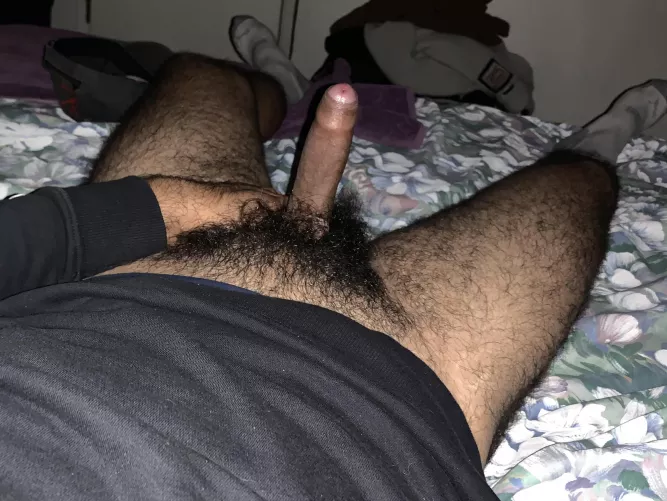 (24) let me knock you up bro 