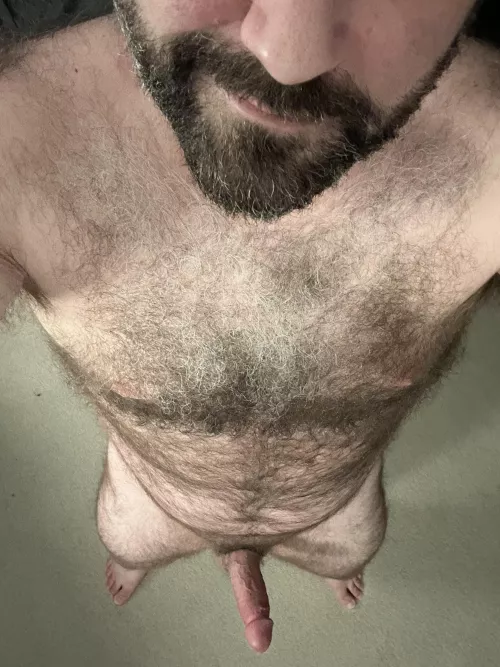 How’s the view? [42]