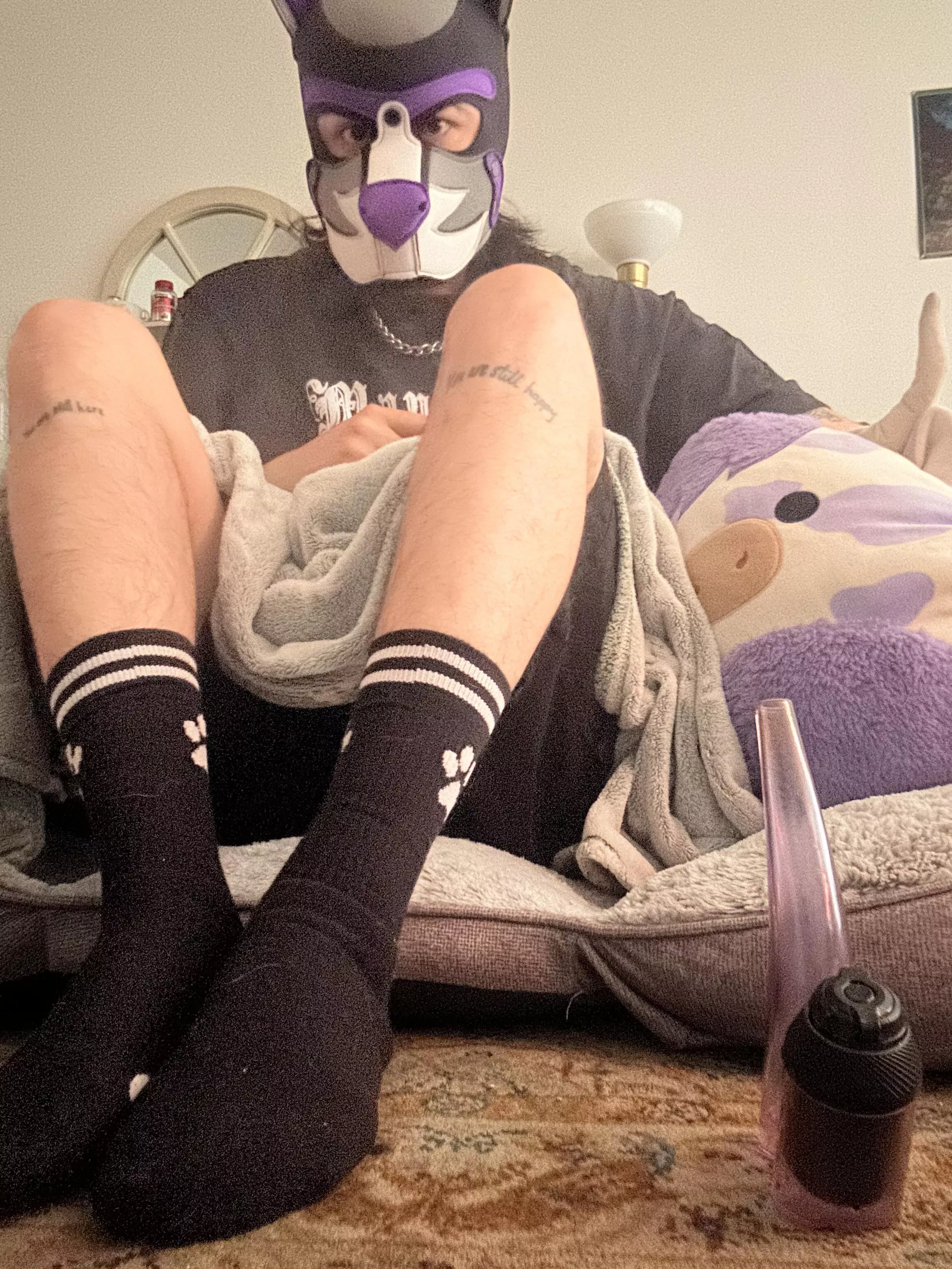 Love having my dog bed in the living room🐶🐶 the floor is for the puppies 