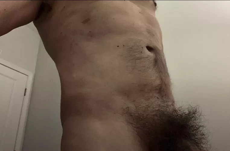 My bush is back and bigger than ever!