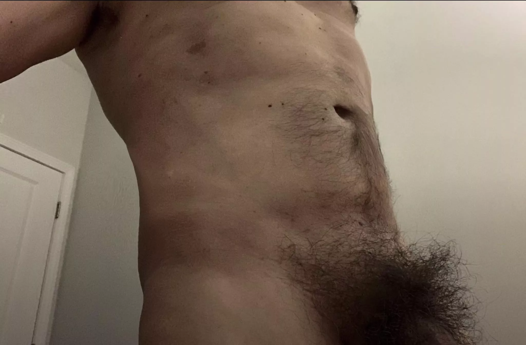 My bush is back and bigger than ever!