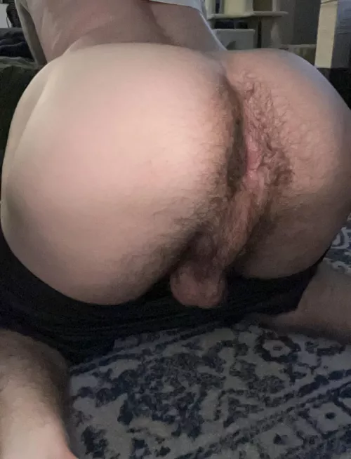 Sniff check me before I go out bro?