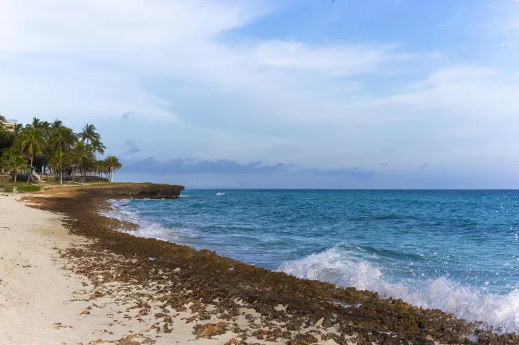 Varadero beach